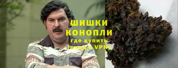 шишки Майский