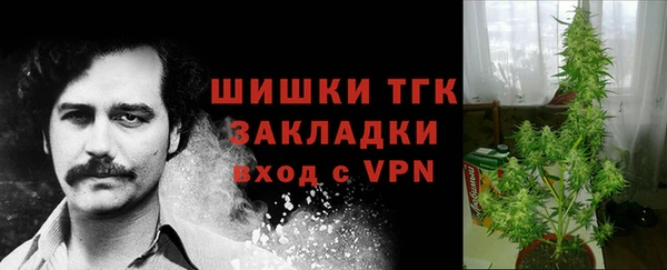 шишки Майский