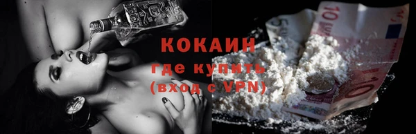 шишки Майский