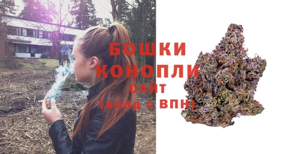 шишки Майский