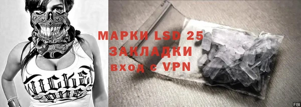 шишки Майский